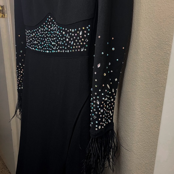 Windsor gown rhinestone feathers - Picture 4 of 8